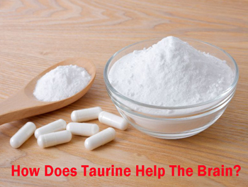 How Does Taurine Help The Brain?